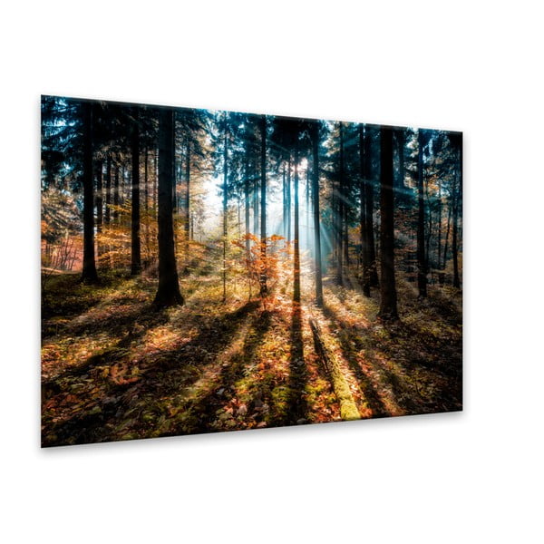 Obraz Styler Glasspik Autumn Sunset, 70x100 cm-image-2