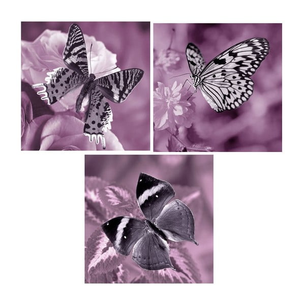 Zestaw 3 obrazów na szkle Motyle, 30x30 cm