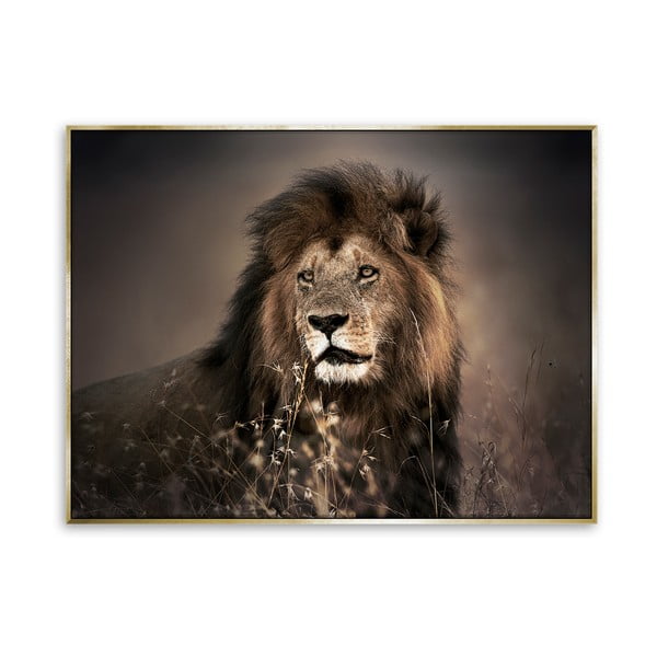 Obraz na płótnie Styler Golden Lion, 115x87 cm