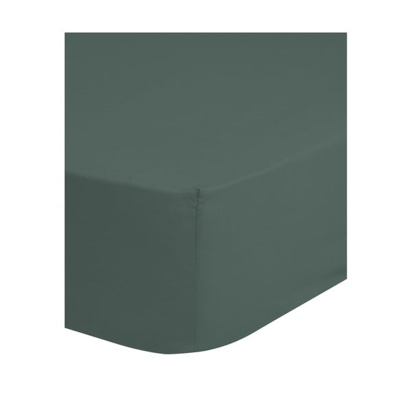 Zielone/szare bawełniane prześcieradło z gumką 160x200 cm – Good Morning-image-1