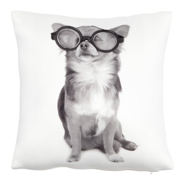 Poduszka z wypełnieniem Dog with Glasses, 30x30 cm