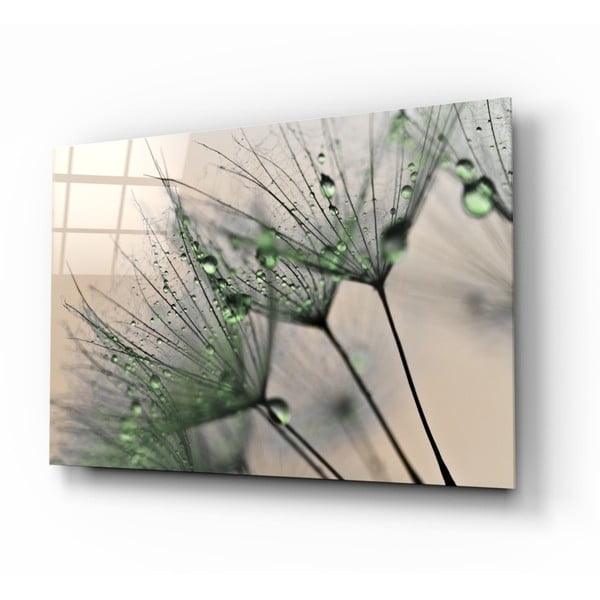 Szklany obraz Insigne Green Dandelion, 72x46 cm
