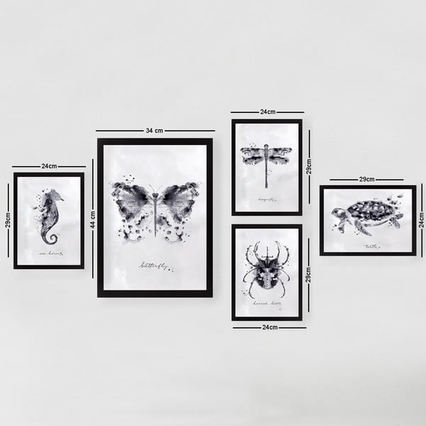 Obrazy zestaw 5 szt. Butterfly – Wallity-image-2