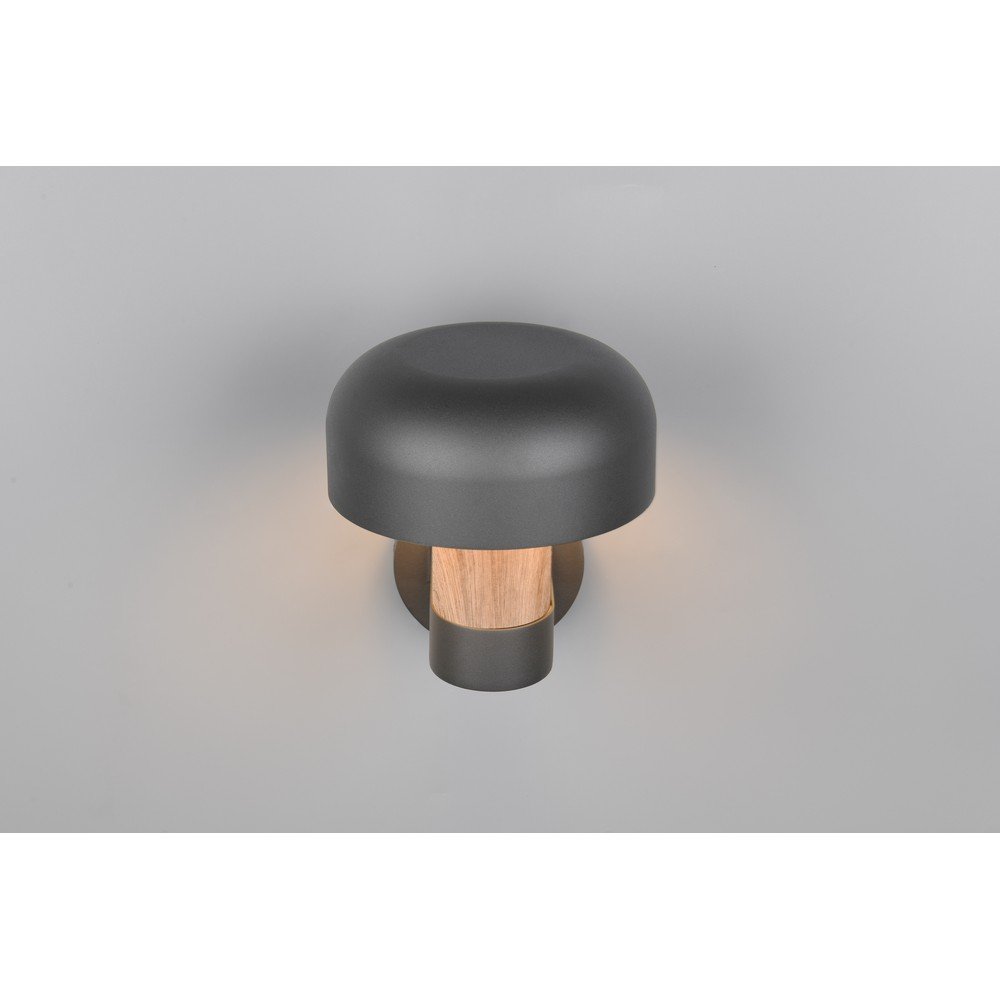 Zewnętrzna lampa ścienna (wysokość 24,5 cm) Fraser – Trio (zdjęcie 3)