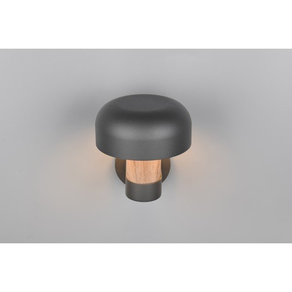 Zewnętrzna lampa ścienna (wysokość 24,5 cm) Fraser – Trio-image-2