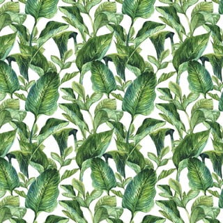 Tapeta ścienna Dekornik Leaves, 50x280 cm