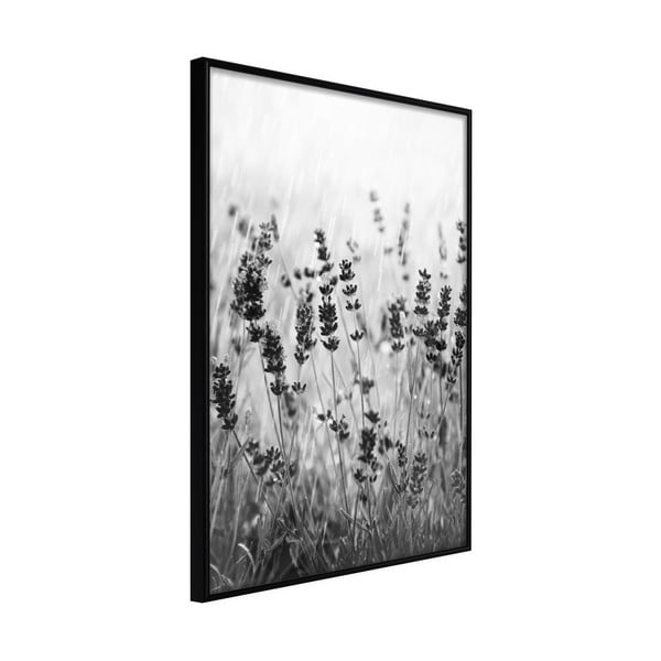 Plakat w ramie Artgeist Shadow of Meadow, 40x60 cm