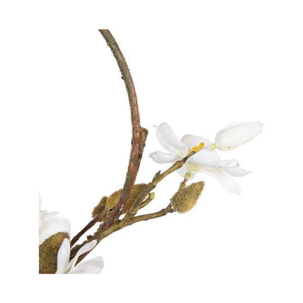 Wieniec Magnolia – Ixia-image-1
