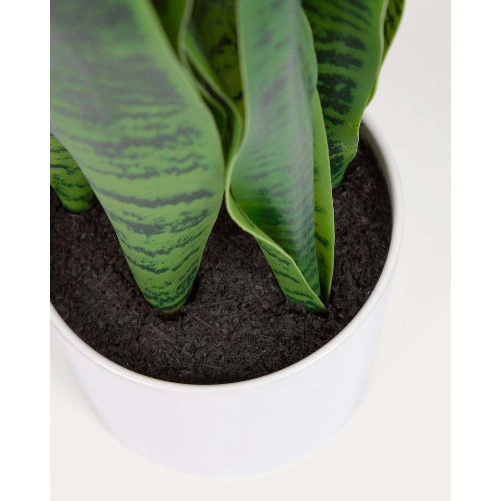 Sztuczna roślina (wysokość 55 cm) Sansevieria – Kave Home (zdjęcie 5)