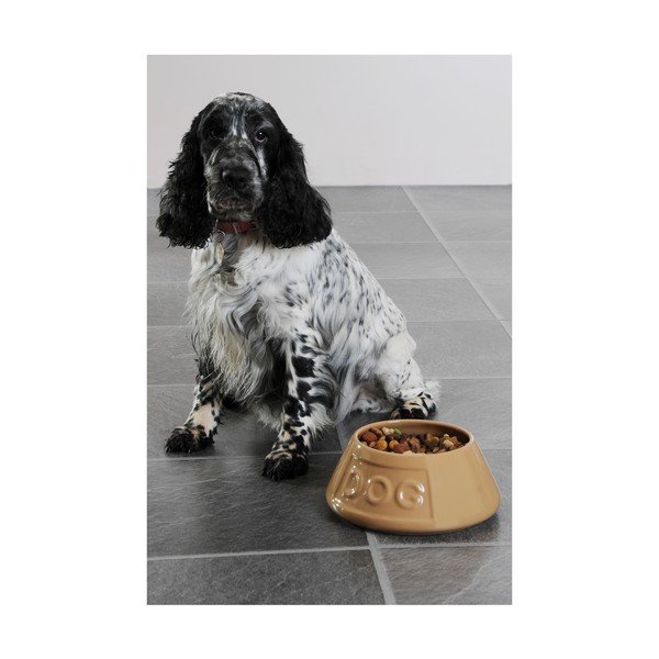 Kamionkowa miska dla psa Mason Cash Pet Cane Dog, ø 21 cm-image-2