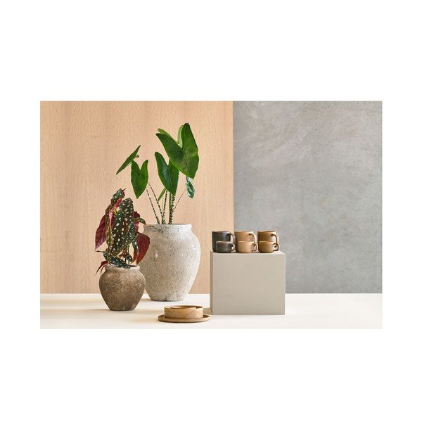 Pomarańczowe porcelanowe miski zestaw 2 szt. ø 15,5 cm Fjord – Villa Collection-image-1