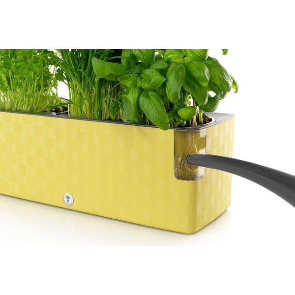 Bazyliowozielona doniczka samonawadniająca Flower Lover Cobble Trio, 40x14 cm-image-1