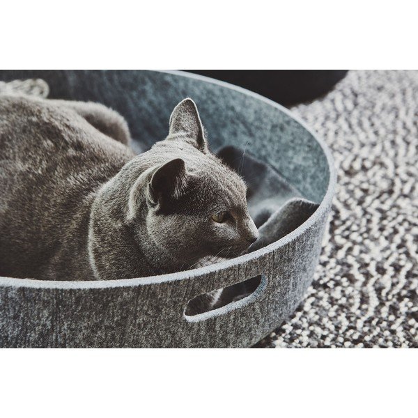 Tekstylny koszyk do przechowywania ø 46x12 cm Cesto Concrete – MiaCara-image-3