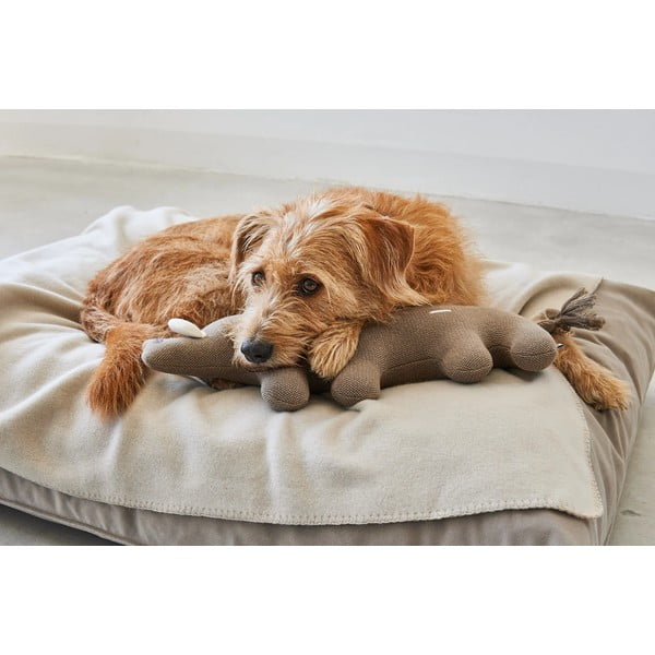 Zabawka dla psa Bosco Boar – MiaCara-image-3