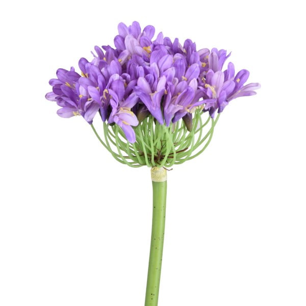 Sztuczny kwiat Ego Dekor Fioletowy agapant