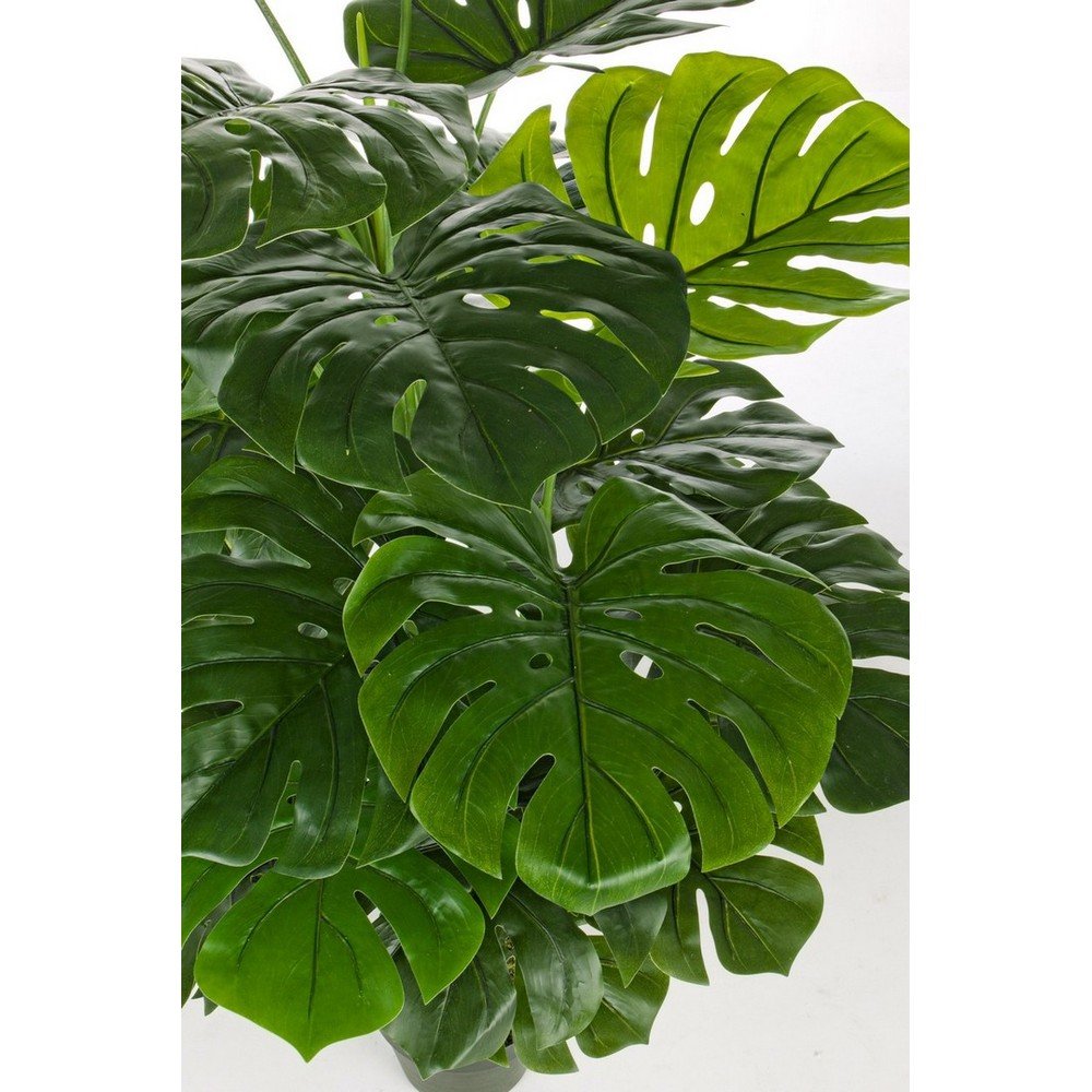 Sztuczna monstera (wysokość 120 cm) Philodendron – Bizzotto (zdjęcie 3)