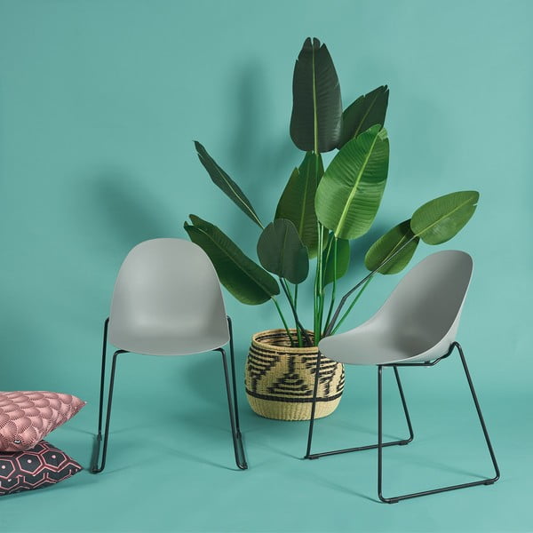 Zestaw 2 szarych krzeseł z czarną kontrukcją Bonami Selection Viva-image-1