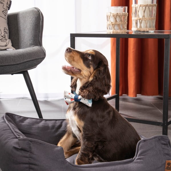 Niebieskie legowisko dla psów 50x55 cm – Love Story-image-4