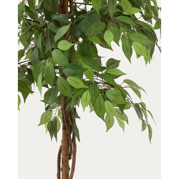 Sztuczny fikus (wysokość 180 cm) Ficus – Kave Home-image-1