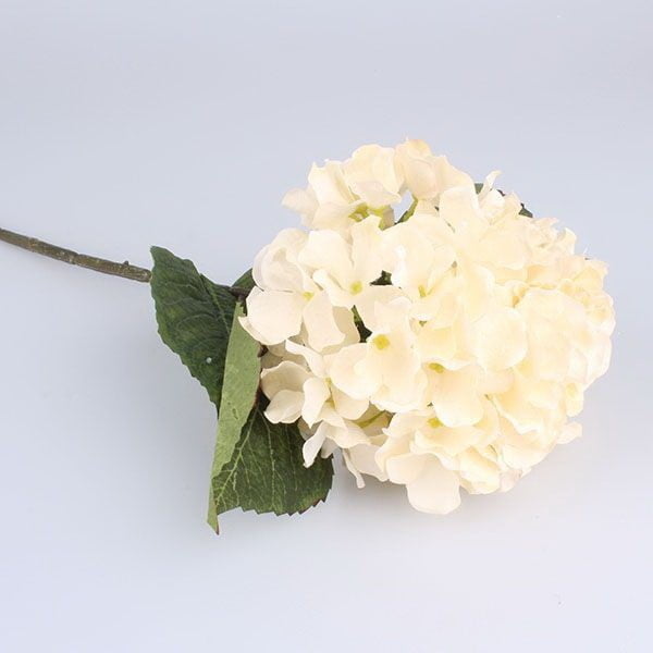 Dekoracyjny kwiat białej hortensji Dakls