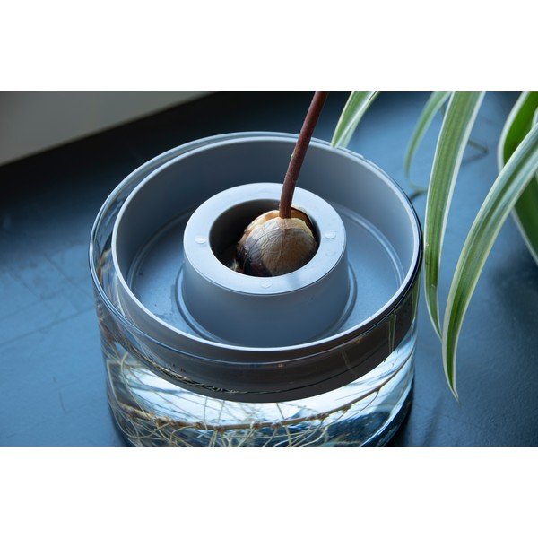 Szklana miska do kiełkowania ø 14 cm Avocado – Esschert Design-image-1