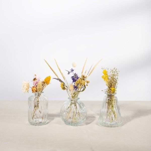 Zestaw 3 szklanych wazonów Sass & Belle Bud-image-1