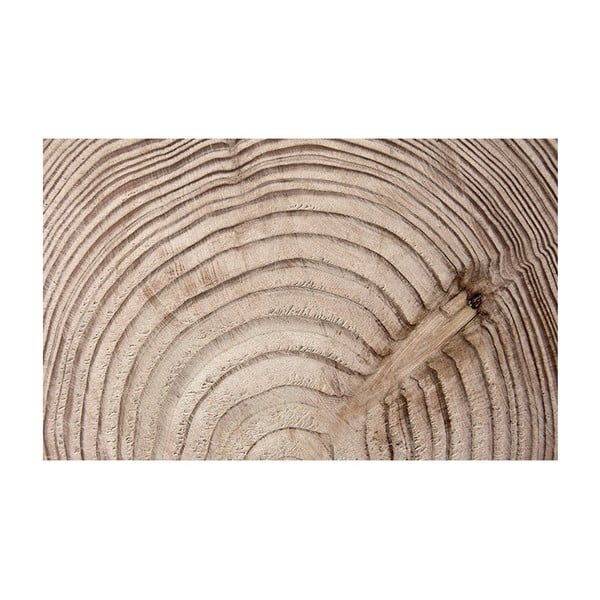 Tapeta wielkoformatowa Bimago Wood Grainl, 400x280 cm