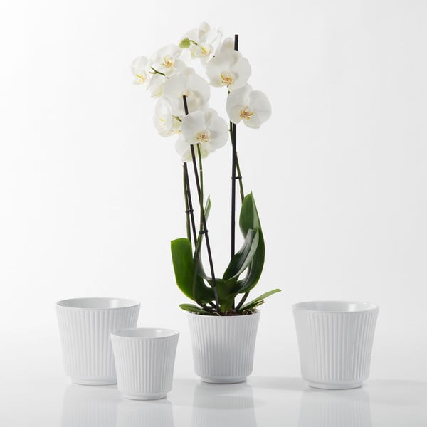 Biała ceramiczna doniczka Big pots Gloss, ø 12 cm-image-1