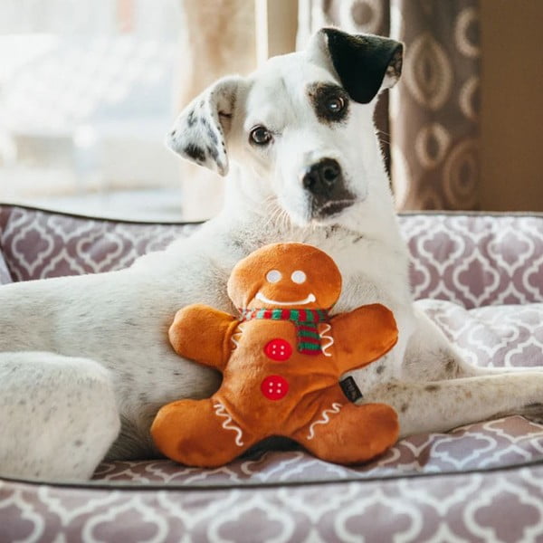 Zabawka dla psa Gingerbread Man – P.L.A.Y.-image-1