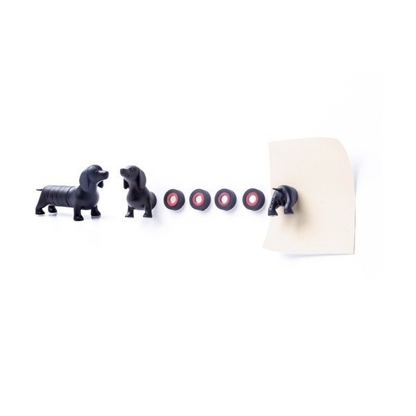 Zestaw magnesów w kształcie jamników Qualy&CO Magnetic Dog