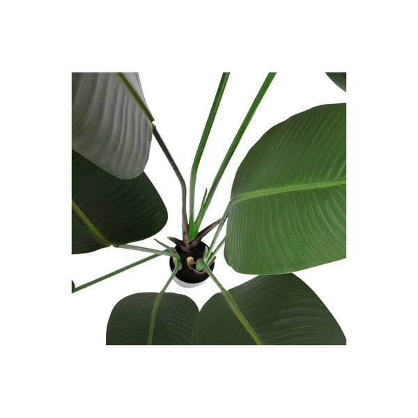 Sztuczna strelicja (wysokość 164 cm) – WOOOD-image-3