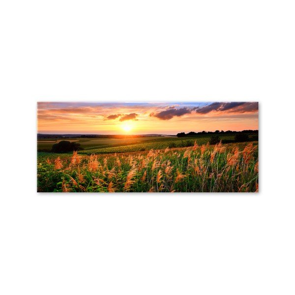 Obraz Styler Glas Sunset Meadow, 50x125 cm