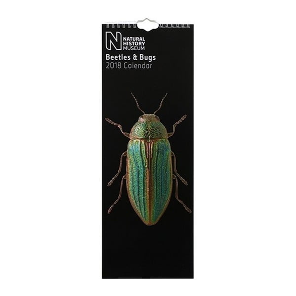 Wąski kalendarz wiszący 2018 Portico Designs Natural History Museum Beetles & Bugs
