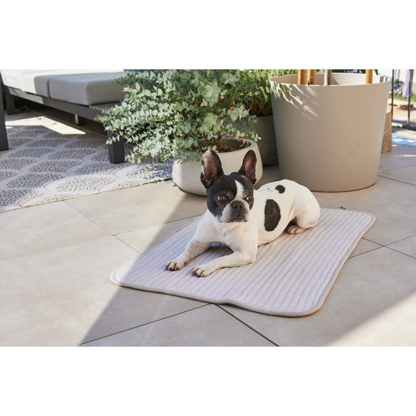 Szary bawełniany koc dla psów 90x120 cm Onda Pebble L – MiaCara-image-1