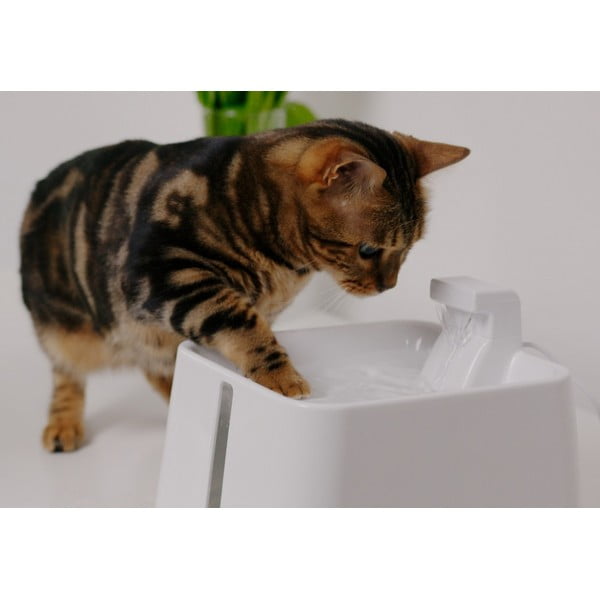 Poidełko fontanna dla czworonoga Epic Pet Zen – Plaček Pet Products-image-1