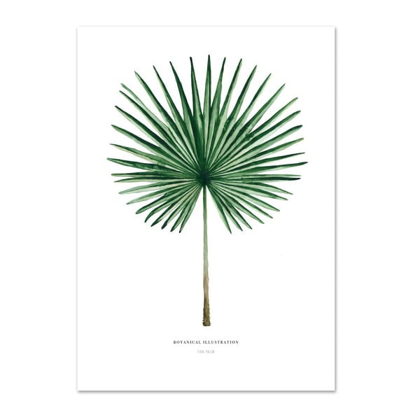 Plakat Leou La Douce Fan Palm, 42x59,4 cm
