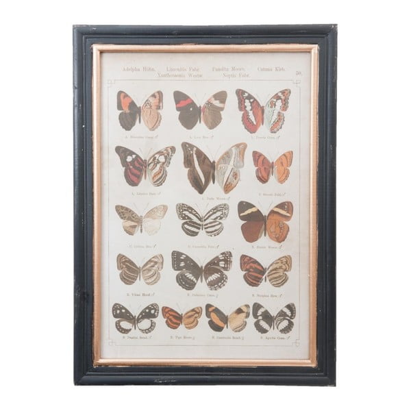 Obraz Clayre & Eef Butterflies, 40x55 cm