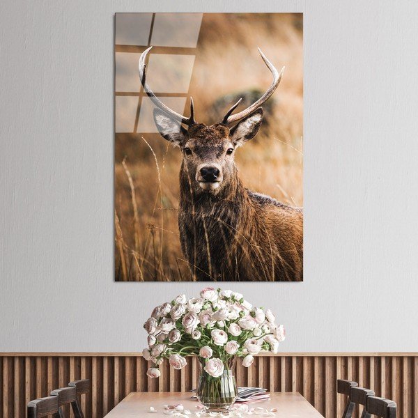 Szklany obraz 70x100 cm Deer – Wallity-image-1