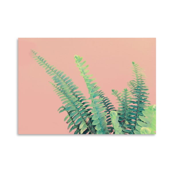 Plakat Americanflat Ferns On Pink, 30x42 cm