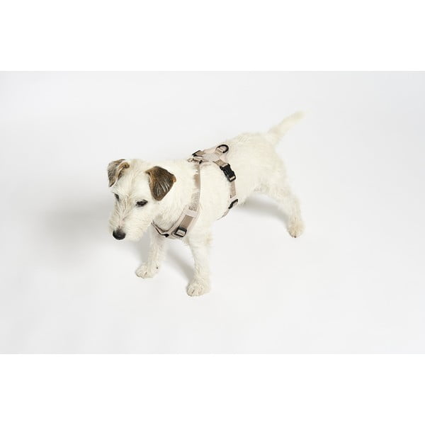 Beżowe szelki dla zwierząt w rozmiarze S długość 30 cm Modena Greige S – MiaCara-image-3