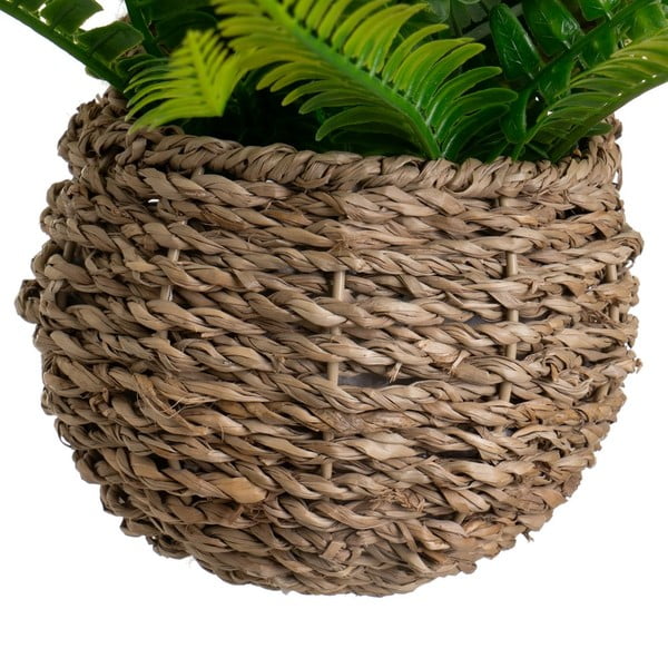 Sztuczna paproć (wysokość 25 cm) – Casa Selección-image-2