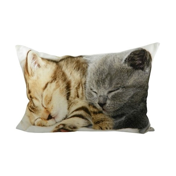 Poduszka Kittens On Blanket 50x35 cm