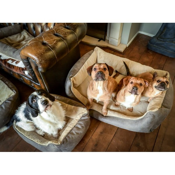 Jasnobrązowe legowisko dla psów 50x65 cm – Madison-image-1