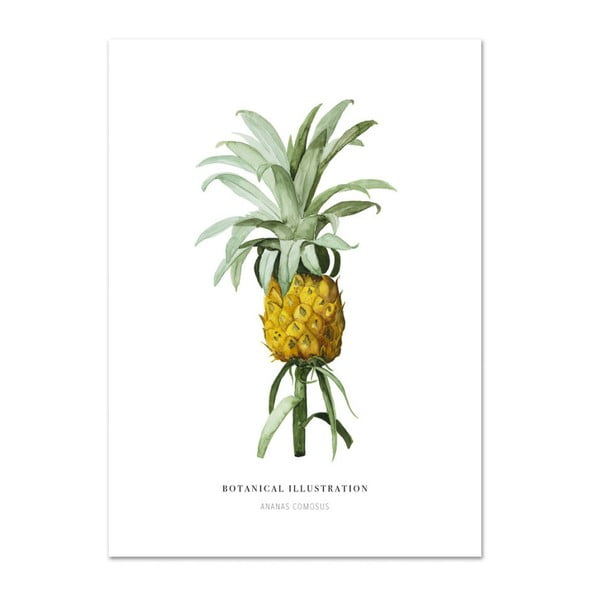 Plakat Leo La Douce Ananas Comosus, 21x29,7 cm