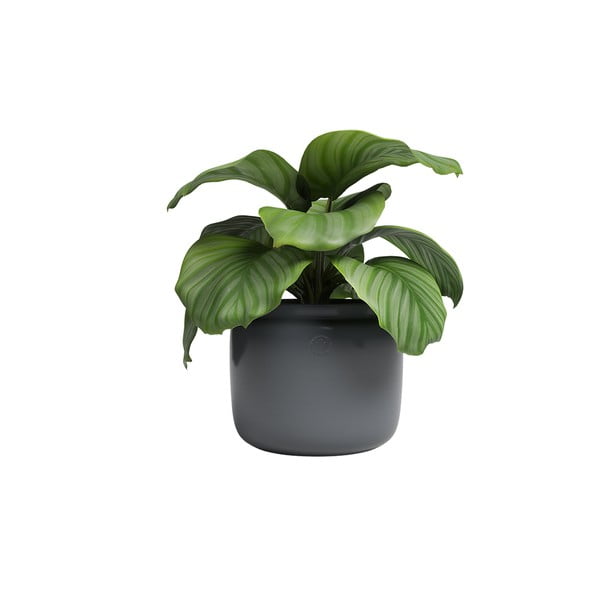 Ceramiczna ręcznie wykonana doniczka ø 20 cm Astrea – Artevasi-image-3