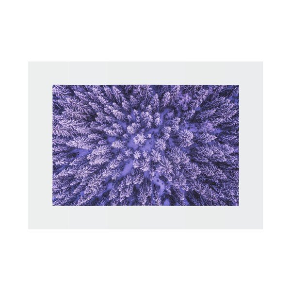 Fioletowy dywan Oyo home Suzzo Flower, 140x220 cm-image-2