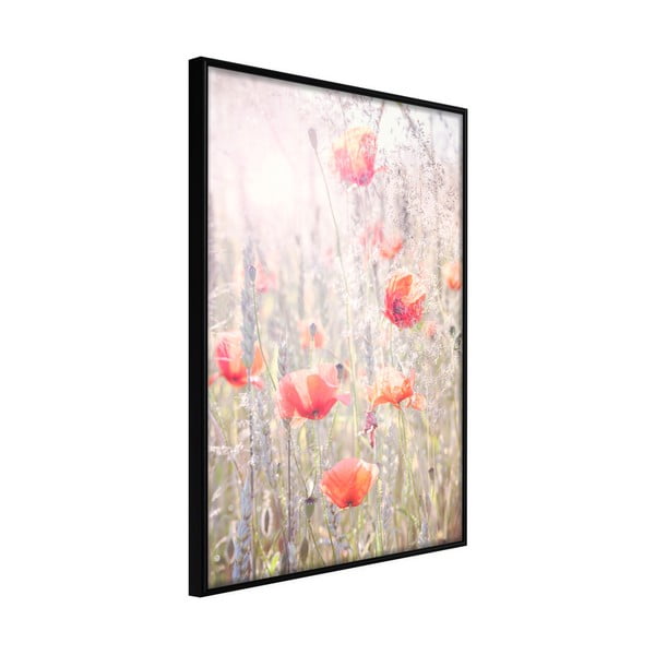 Plakat w ramie Artgeist Poppies, 20x30 cm