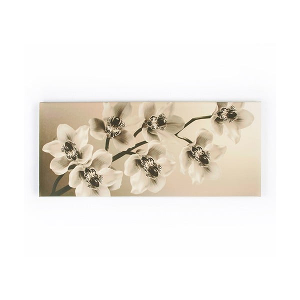 Obraz Graham & Brown Orchid Branch, 100x40 cm