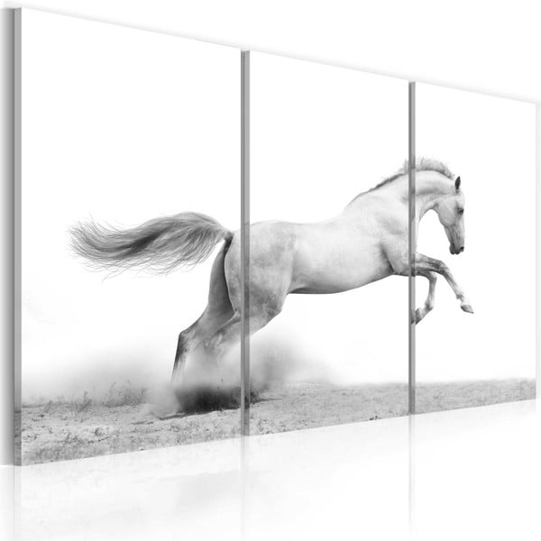 Obraz na płótnie Bimago Horse, 60x40 cm