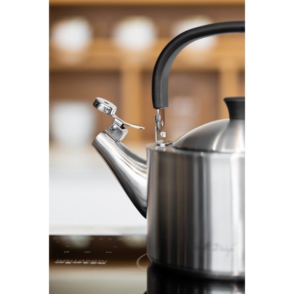 Matowy nierdzewny czajnik z gwizdkiem Vialli Design Diamante, 1,5 l-image-3